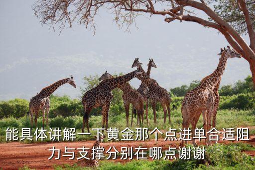 黃金1278什么意思，能具體講解一下黃金那個點進單合適阻力與支撐分別在哪點謝謝