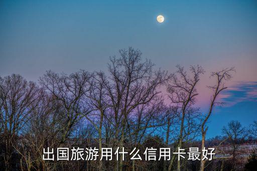 出國旅游用什么信用卡最好
