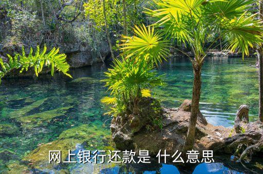 微信銀行還款是什么意思，網(wǎng)上銀行還款是 什么意思