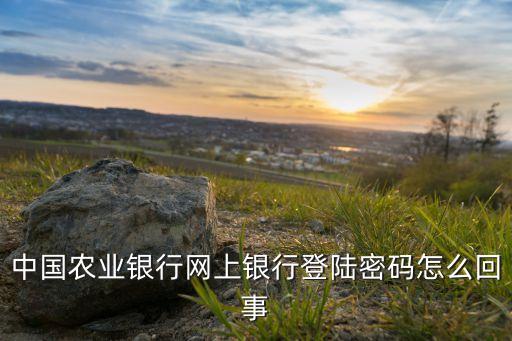 中國農(nóng)業(yè)銀行網(wǎng)上銀行登陸密碼怎么回事