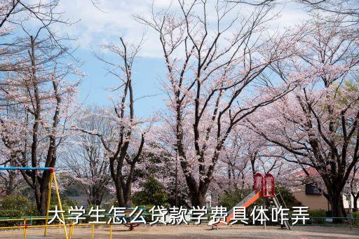 大學(xué)生貸款有什么手續(xù)費(fèi)嗎，U族大學(xué)貸的手 續(xù) 費(fèi)是多少要利 息嗎