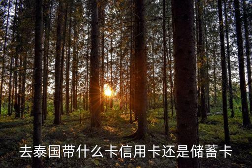 去泰國帶什么卡信用卡還是儲(chǔ)蓄卡
