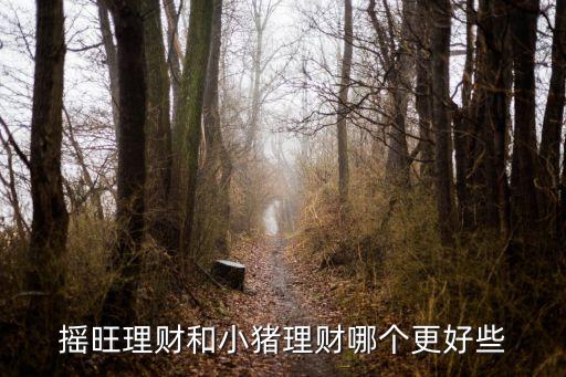 小豬理財優(yōu)勢是什么意思，派派豬理財?shù)膬?yōu)勢