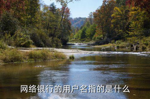 網(wǎng)絡(luò)銀行的用戶(hù)名指的是什么