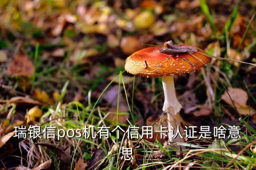瑞銀信pos機(jī)有個信用卡認(rèn)證是啥意思