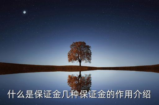 什么是已用保證金，保證金是什么