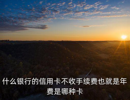 什么銀行的信用卡不收手續(xù)費(fèi)也就是年費(fèi)是哪種卡