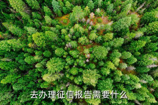 去銀行征信需要什么，去辦理征信報(bào)告需要什么