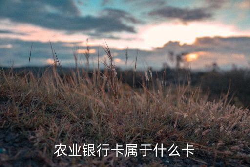 農(nóng)業(yè)銀行卡屬于什么卡