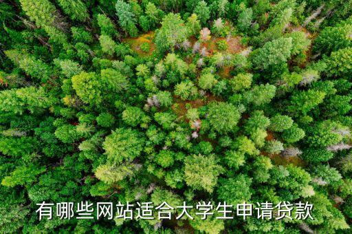 有哪些網(wǎng)站適合大學(xué)生申請(qǐng)貸款
