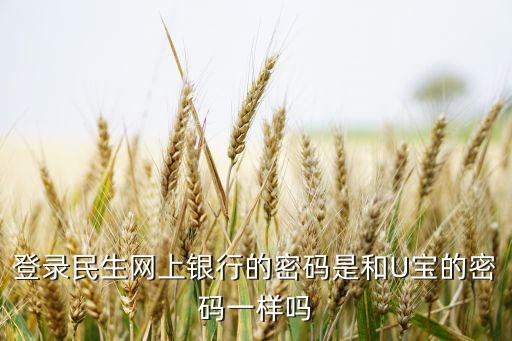 民生銀行口令密碼是什么，登錄民生網(wǎng)上銀行的密碼是和U寶的密碼一樣嗎