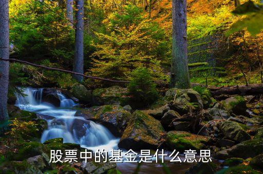 股票中的基金是什么意思