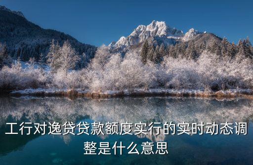工行對逸貸貸款額度實行的實時動態(tài)調(diào)整是什么意思