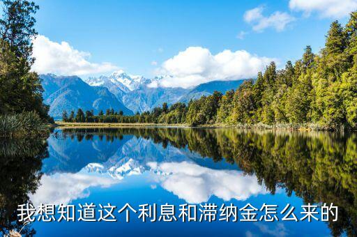 我想知道這個利息和滯納金怎么來的