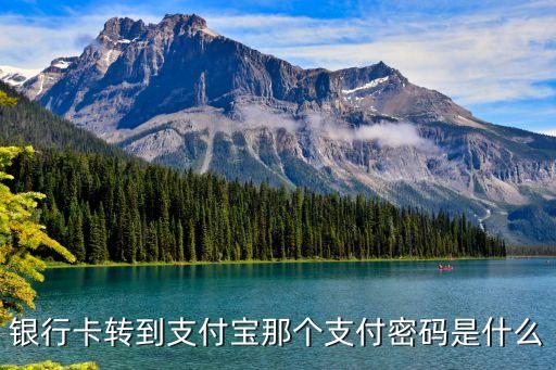 銀行卡轉(zhuǎn)到支付寶那個支付密碼是什么