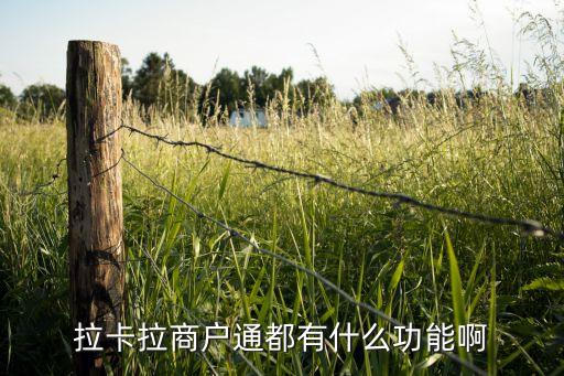 拉卡拉商戶通都有什么功能啊
