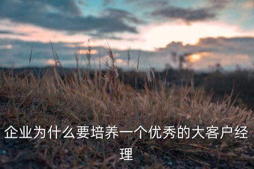 企業(yè)為什么要培養(yǎng)一個優(yōu)秀的大客戶經(jīng)理