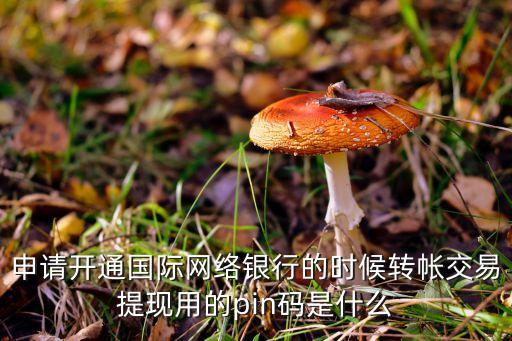 申請開通國際網(wǎng)絡(luò)銀行的時候轉(zhuǎn)帳交易提現(xiàn)用的pin碼是什么