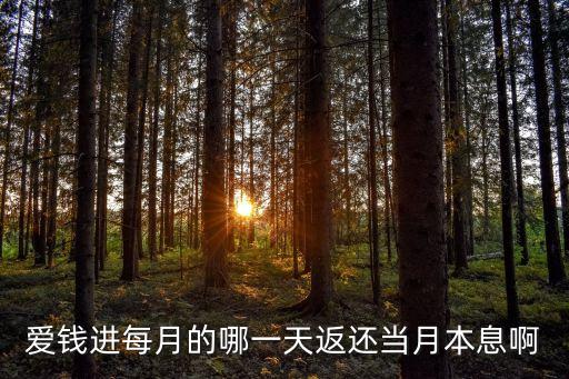 愛錢進每月的哪一天返還當月本息啊
