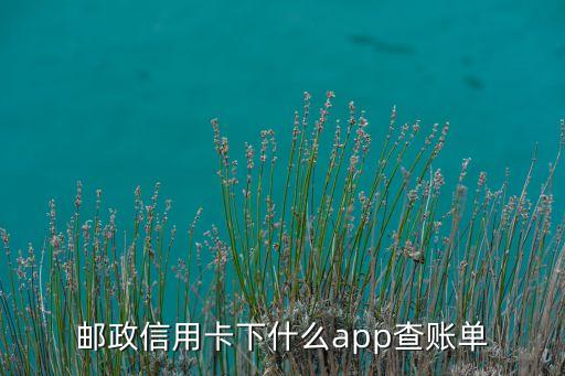 郵政信用卡下什么app查賬單