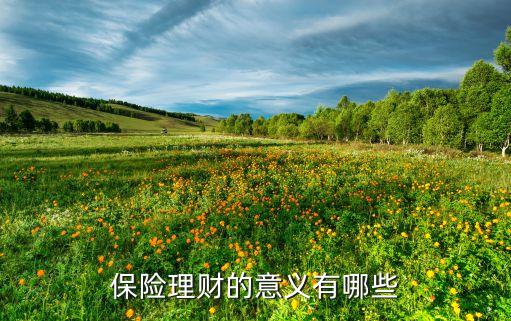 保險理財?shù)囊饬x有哪些
