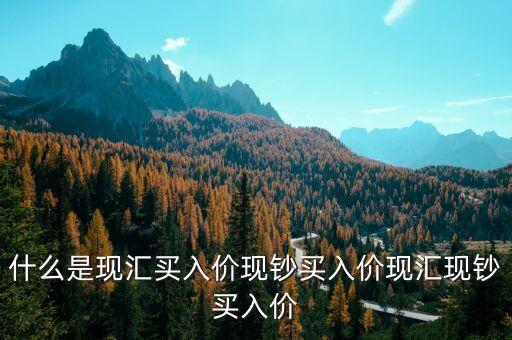 現(xiàn)匯買入價什么標(biāo)準(zhǔn)，什么是現(xiàn)匯買入價