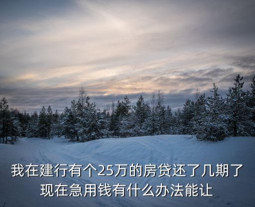 我在建行有個(gè)25萬(wàn)的房貸還了幾期了現(xiàn)在急用錢(qián)有什么辦法能讓