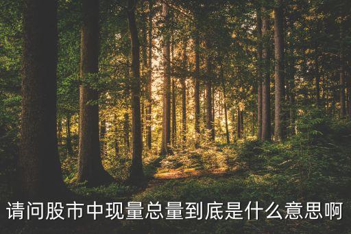請問股市中現(xiàn)量總量到底是什么意思啊