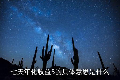 年化利息5 是什么意思，年化收益率5什么意思
