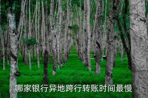 哪家銀行異地跨行轉(zhuǎn)賬時間最慢