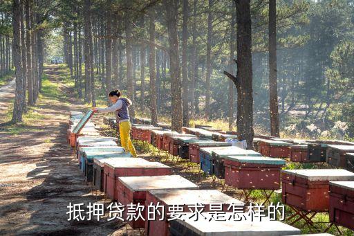 抵押貸款需要什么條件，抵押貸款申請(qǐng)需要具備哪些條件