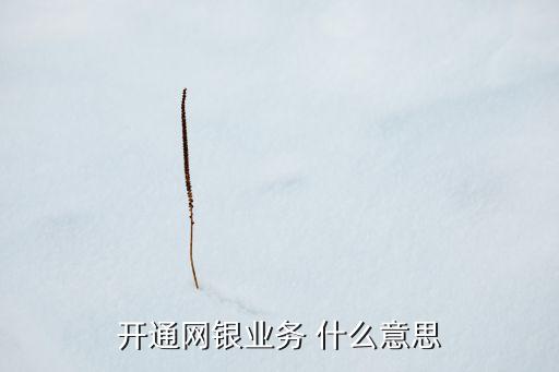 什么叫開通網(wǎng)銀，開通網(wǎng)上銀行是什么意思
