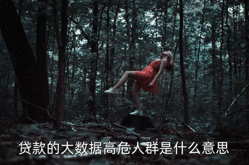 車貸大數(shù)據(jù)是什么意思，貸款的大數(shù)據(jù)高危人群是什么意思