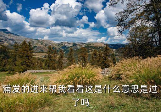 浦發(fā) 一元 早餐 是什么意思，浦發(fā)的進(jìn)來幫我看看這是什么意思是過了嗎