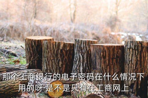 銀行卡電子密碼是什么情況，中國(guó)銀行電子銀行密碼是什么