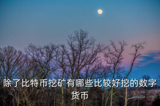 除了比特幣挖礦有哪些比較好挖的數(shù)字貨幣
