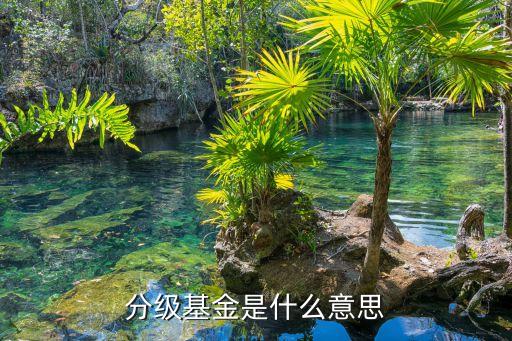 分級(jí)基金是什么意思