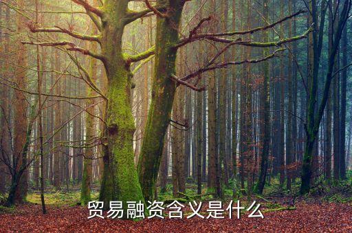 貿(mào)易融資含義是什么