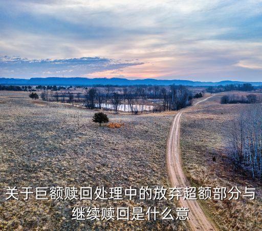 關(guān)于巨額贖回處理中的放棄超額部分與繼續(xù)贖回是什么意