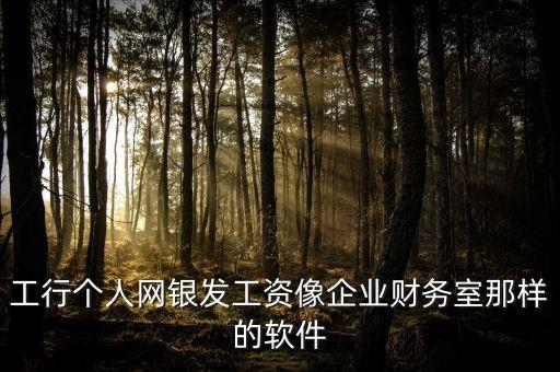 工行個(gè)人網(wǎng)銀發(fā)工資像企業(yè)財(cái)務(wù)室那樣的軟件