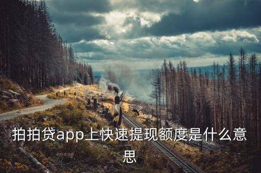 拍拍貸app是什么意思，拍拍貸app上快速提現(xiàn)額度是什么意思