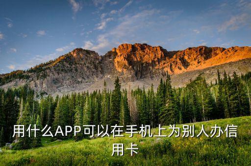 用什么APP可以在手機上為別人辦信用卡