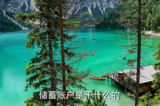 儲蓄賬戶是干什么的