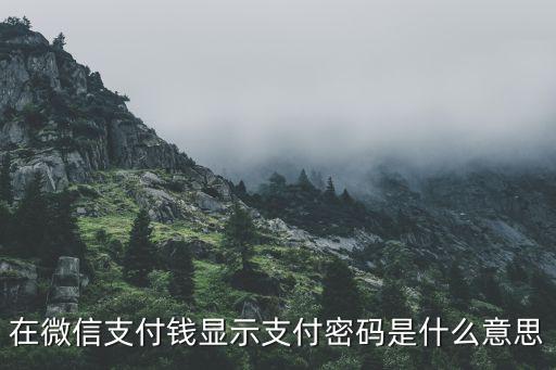 在微信支付錢顯示支付密碼是什么意思
