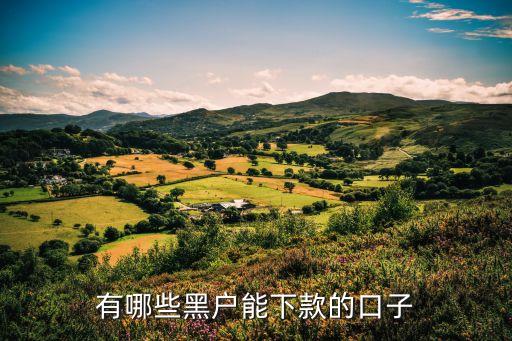 有哪些黑戶能下款的口子