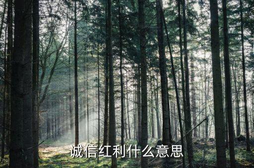 誠(chéng)信紅利什么意思