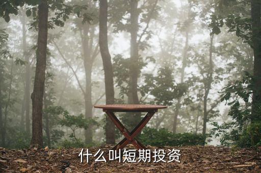 什么叫短期投資