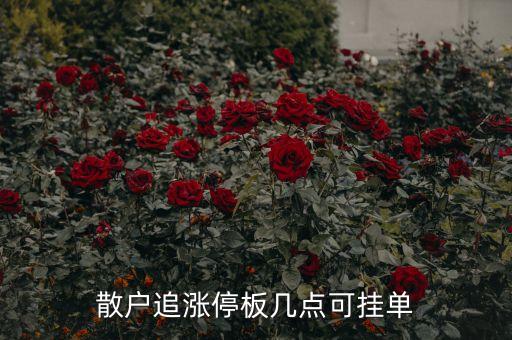 散戶追漲停板幾點(diǎn)可掛單