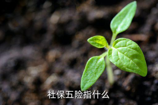 上班交五五險(xiǎn)是什么，社保五險(xiǎn)指什么