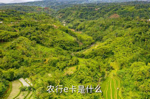 農(nóng)行e卡是什么